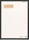 Synedra capillaris Grun. (de-Toni-Nr.: Genus 66, Species 2595) Zeichnungen Sammlung Grunow (NHMW-BOT-W0373686)